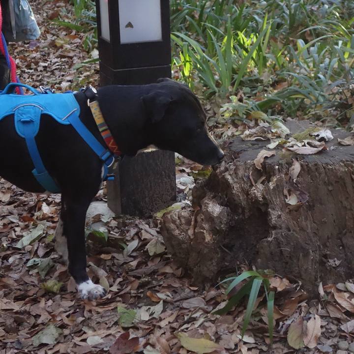 Fa6017cf 8d0c 4e3c 94ba dd845190ffa8 1608249244911