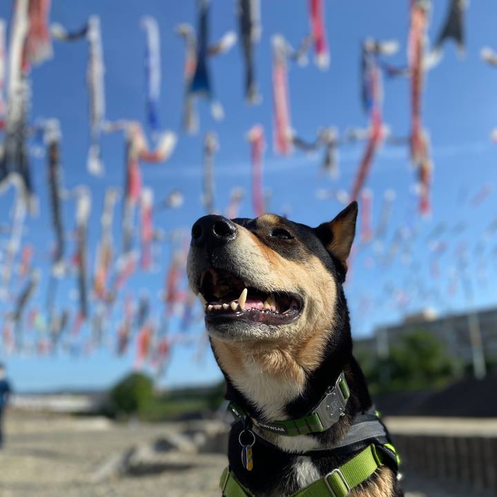 Fa6044ab 4e99 4742 a689 e9c0ea50adaa 1683293250907