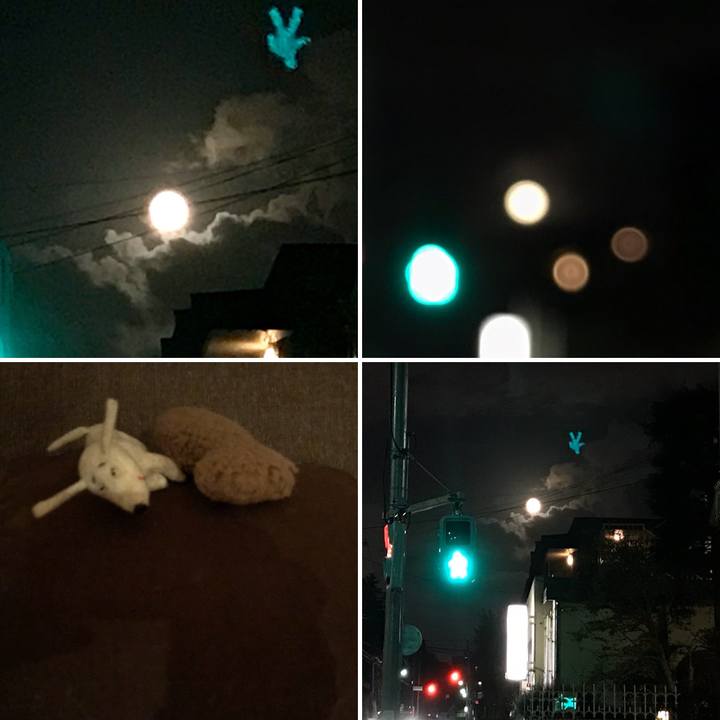 Fa6055a6 38f5 4bda 82c3 e55cf15d1225 1573661356290