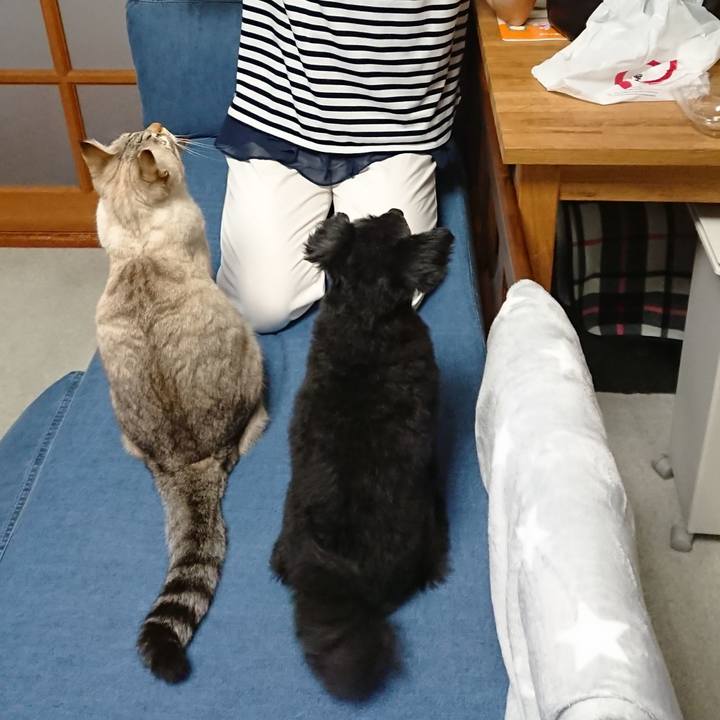 Fa6086bd 82dd 4866 9dc8 0f5444a22361 1538906284874