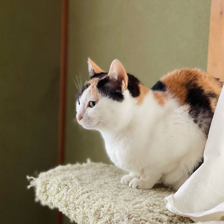 Fa608cbc ae5e 48bf b9fd 385e6bbf61a1 1645324800613