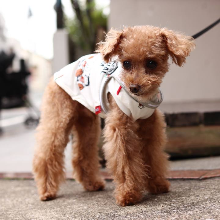 Fa6094c0 d89c 4e8d 9c40 762ff1bbbec7 1602680139960