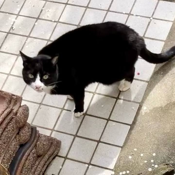 Fa60a0cc 4562 4f12 b06b 4abc0c511207 1741142136863