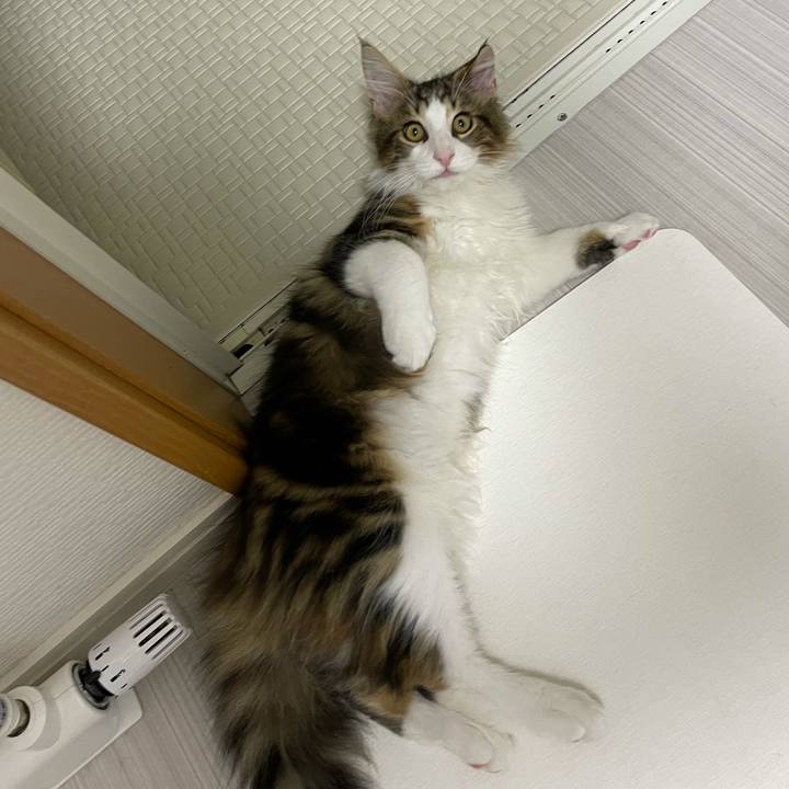 Fa60a3ab 6417 4e71 b1ae 35c70b483e06 1635769915470