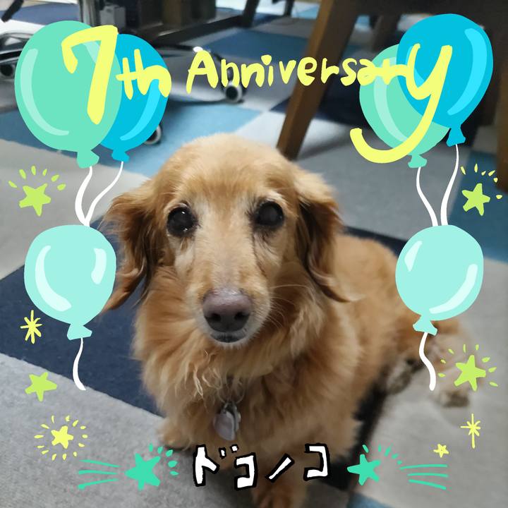 Fa60b5a6 16de 4748 a5c2 934d383bc496 1685958184127