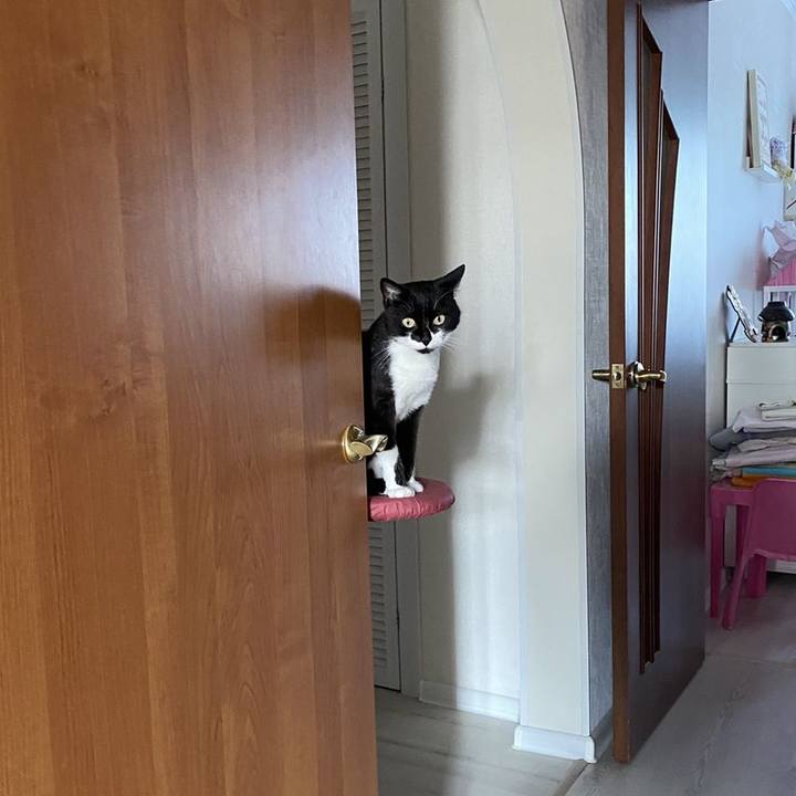 Fa60be0e 5423 43a7 8077 bdcd019ead17 1596829914430