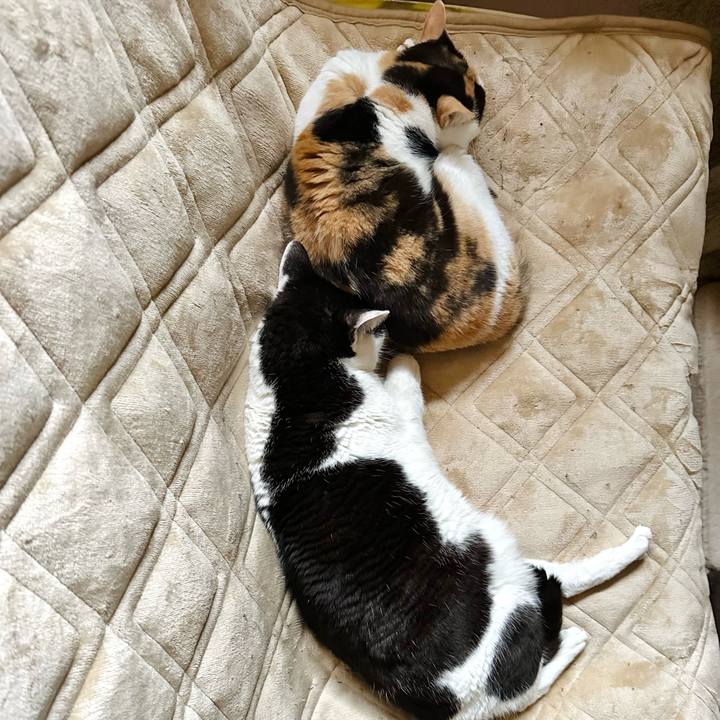 Fa60bef3 528e 4616 9dee d5f1652ffafa 1679192675552