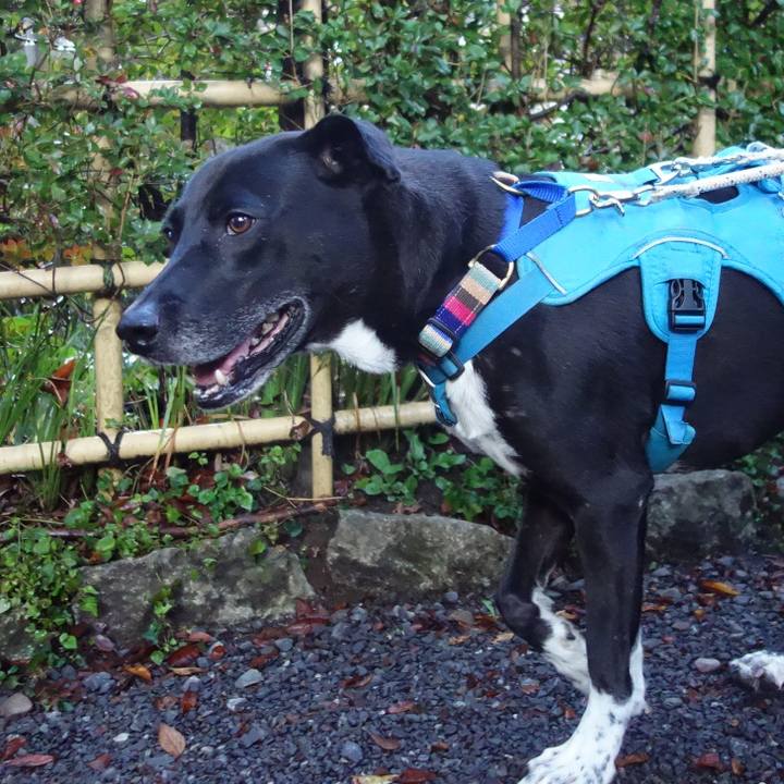 Fa60f70b d913 46dd a12b cb20422c57d0 1636505395966