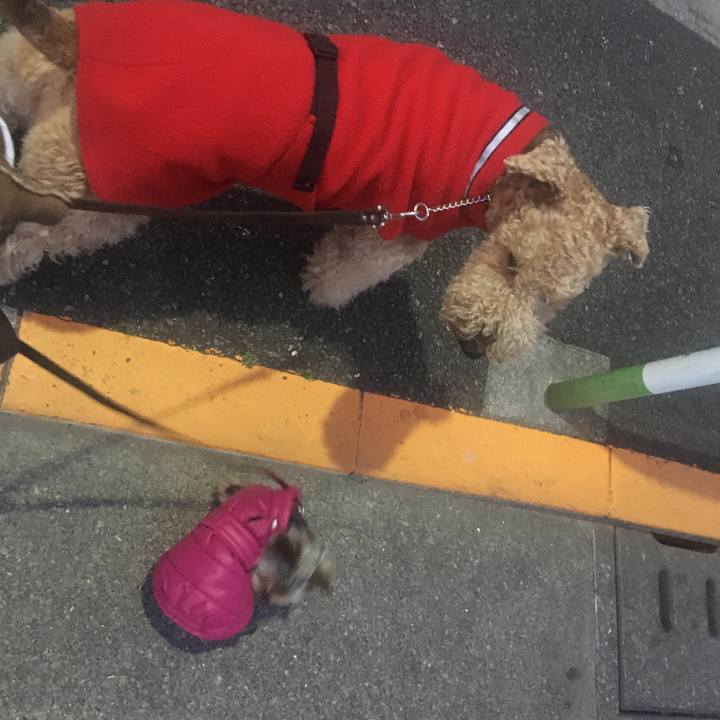 Fa610745 5e07 4b70 af24 ab9f8950e60b 1551261706113