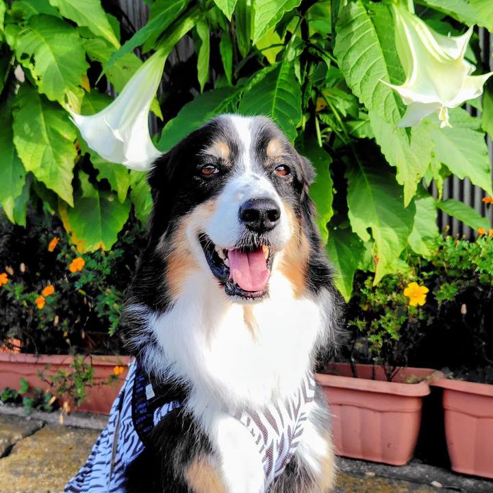 Fa611836 4bb8 40fb b24c f50daa14713f 1762601676146