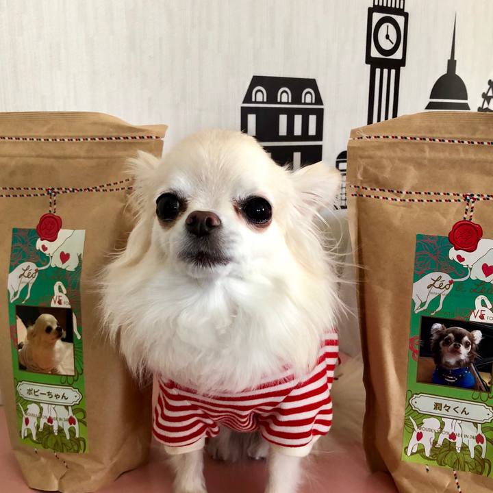 Fa6133a2 78e0 47b5 b655 e843706620e1 1549436969524