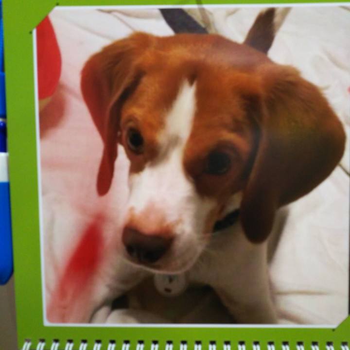 Fa613f17 9485 4762 b92e 69ef0f09c739 1554121313737