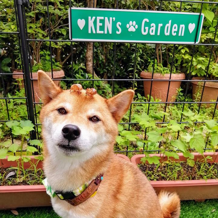 Fa614697 22d6 4c6d b9a0 232ae4cd3b8d 1596251780023