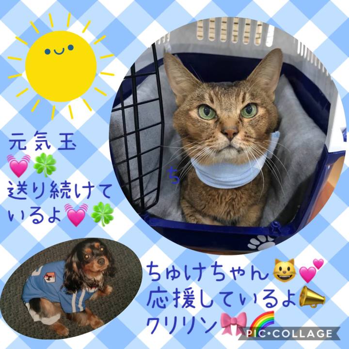 Fa61a2bd 909b 4107 be0e 403d42799868 1565006807085