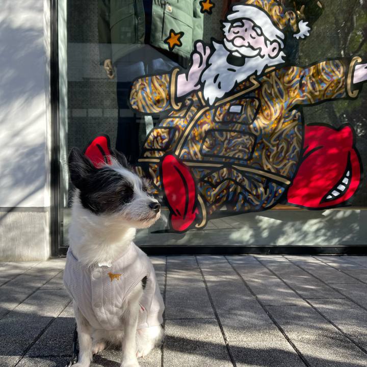 Fa61ca68 e986 45c6 82ea fad65ab32ef8 1671757498996