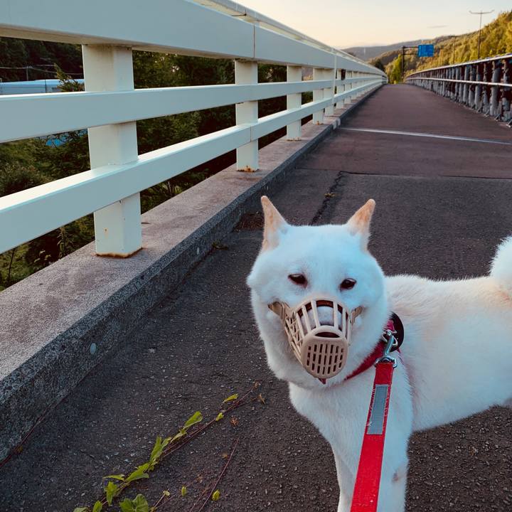 Fa61dbd7 01c1 48f3 8881 bbc008a829c9 1566855334919