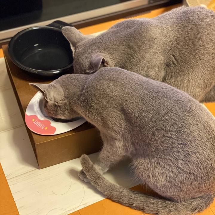 Fa61e187 769f 4251 a165 7137cb88e114 1617714966753