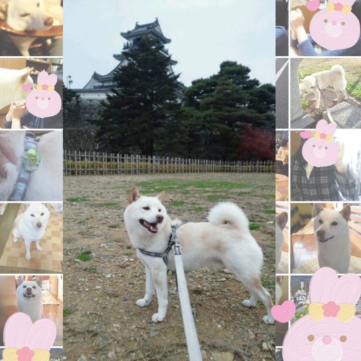 Fa61e6b7 f638 4886 8d28 4e1c655e1170 1680224038345