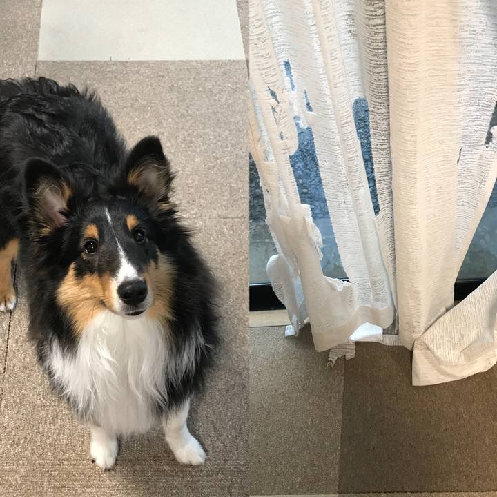 Fa61f9c2 d3da 4ce9 906b 843c84c57efa 1523143125431