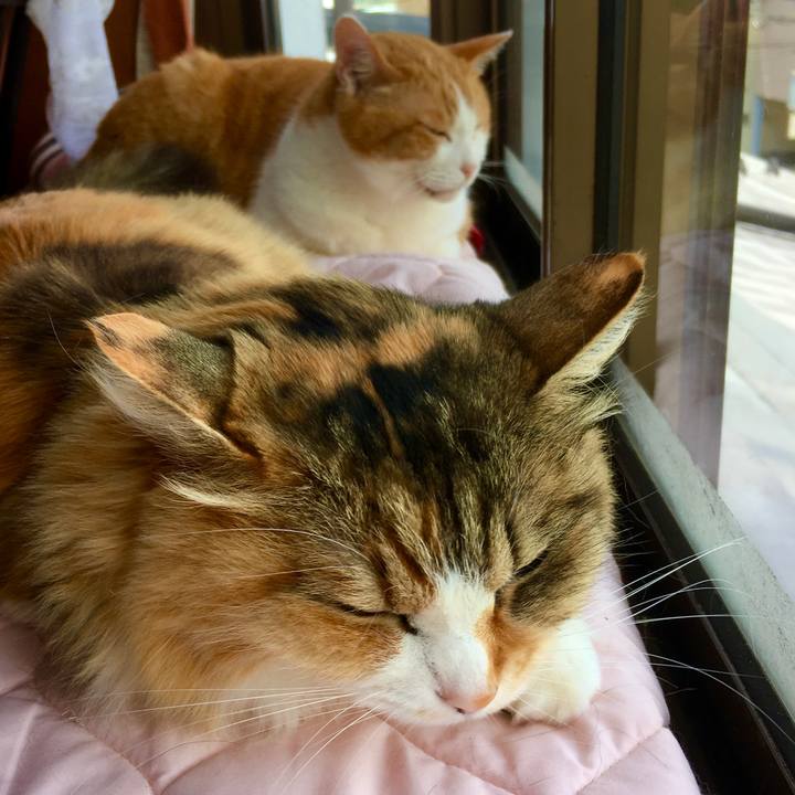 Fa621ca5 38cc 4ea1 9b55 456d8534498b 1589686785284