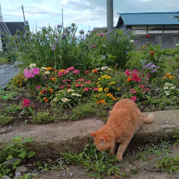 Fa622d49 a2be 4335 beb0 9b0ba4ce27bf 1687559960708