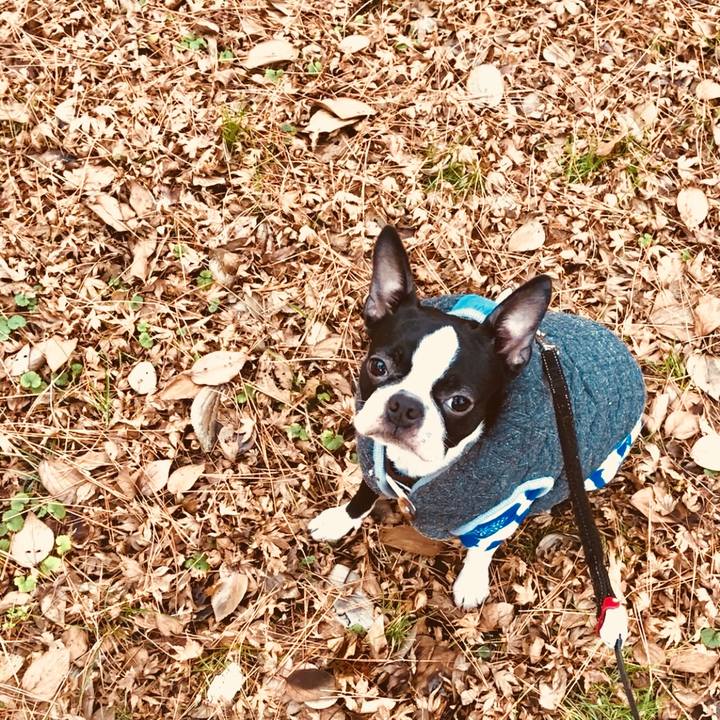 Fa62879b ea3d 4aed a0ff cc4a3626e157 1515570594532