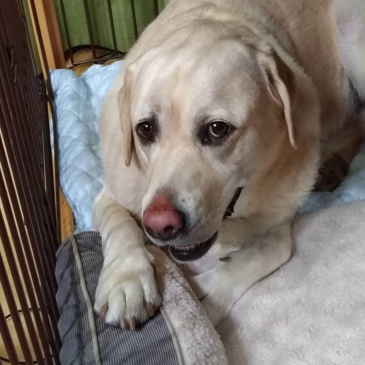 Fa628e59 b81d 4cc8 b212 c8209f320a7a 1634296841062