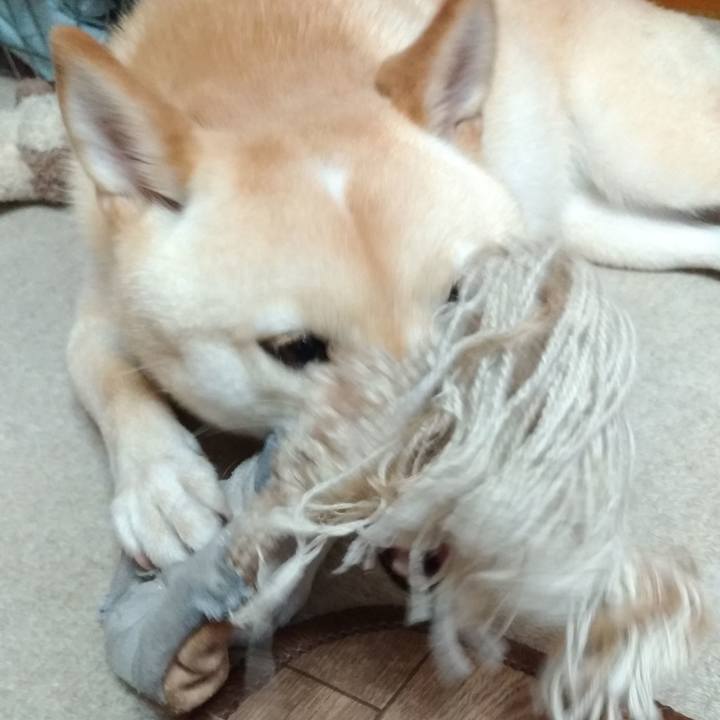 Fa62a332 1a74 4476 a163 56b4a5c0c3bf 1566042703153