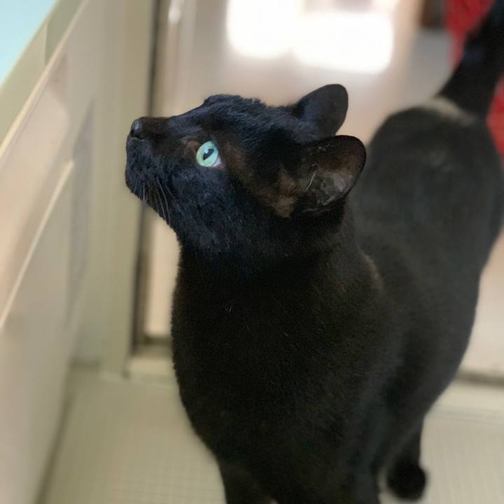 Fa634f33 1174 4371 ae59 265bc144d934 1541900138328