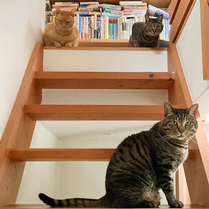 Fa637368 8d51 4dae a809 9fc589079aaf 1744243936064