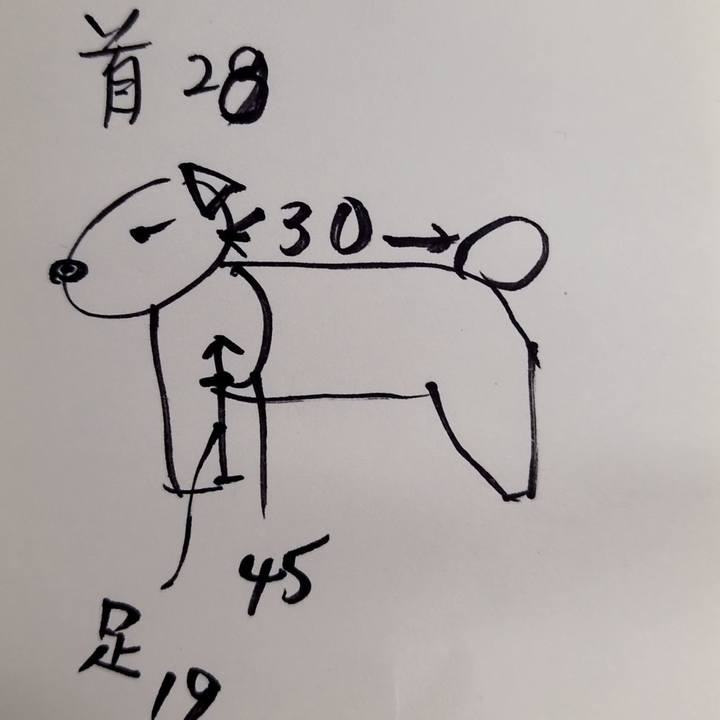 Fa63835f 865e 4aa6 b0fd 12c61ad211d8 1759711257895