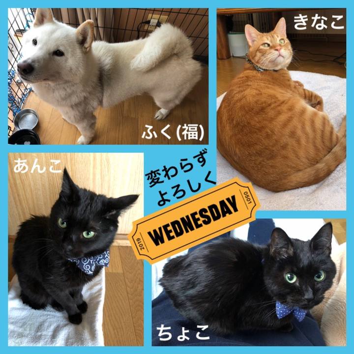 Fa63942b a313 4222 aba4 f4ead268180d 1556672024342