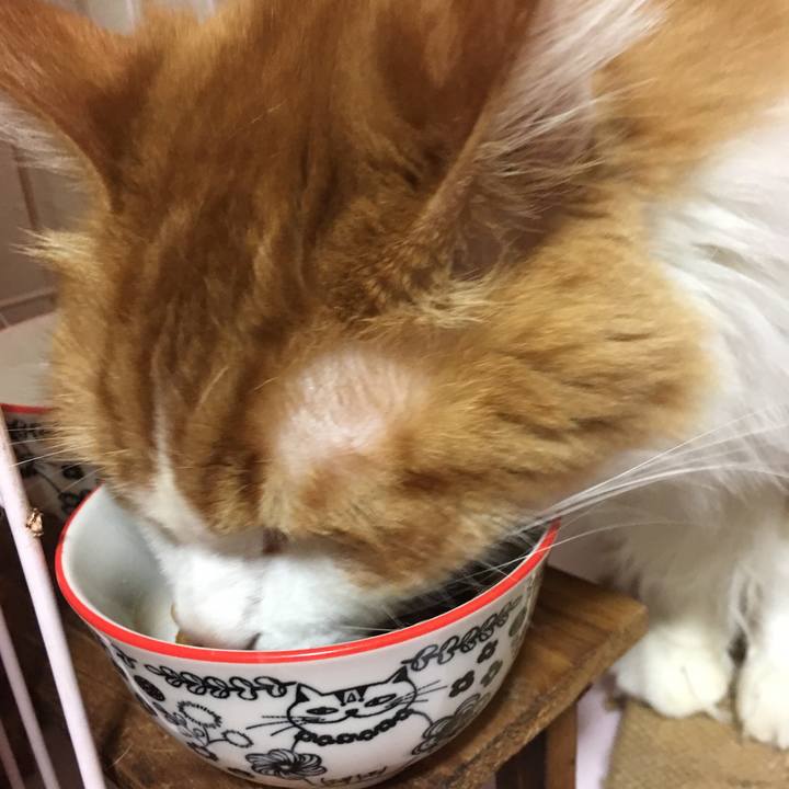 Fa63c47a aa1c 4962 96d0 62fd39c7bbfa 1544015841211