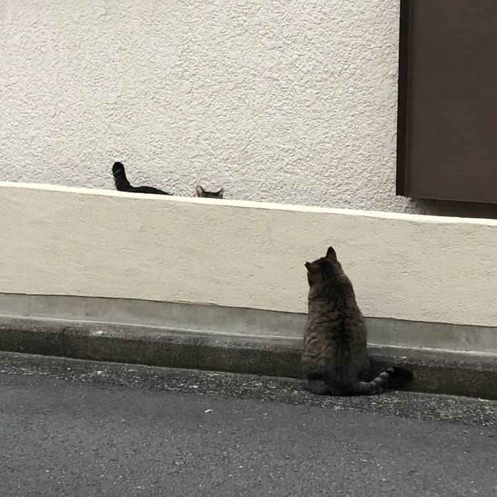 Fa63fedd 15cc 4335 892b de4fe7560e3e 1550660867043