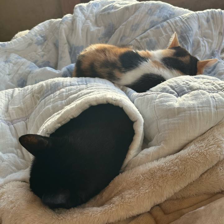 Fa6402d6 5b76 4aab b81c eb1c3e9caaac 1698026032552