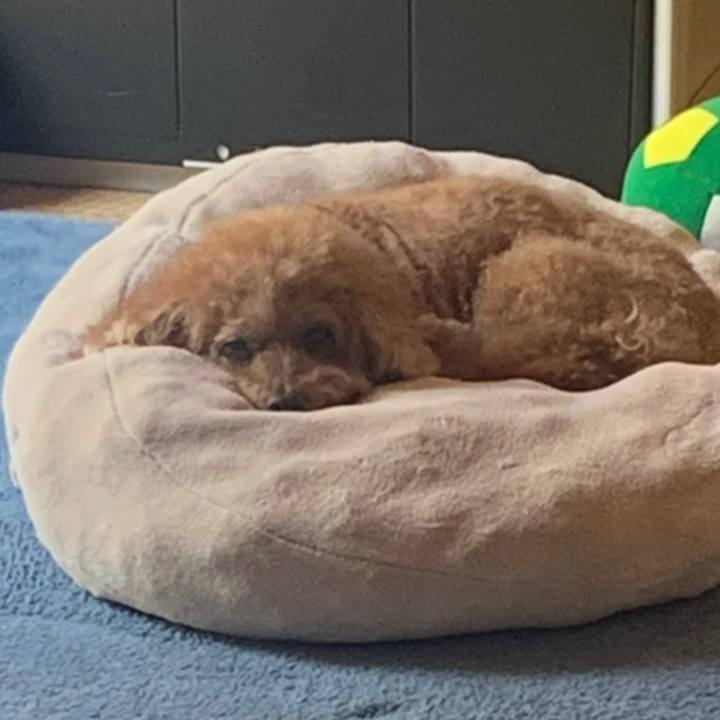 Fa6438d2 1470 4b6c be63 0f016d924fb7 1626596407806