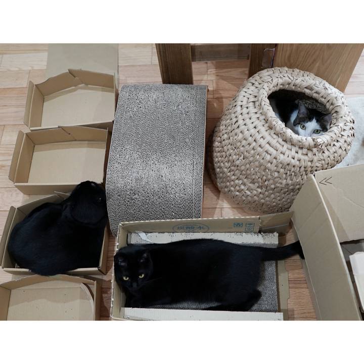 Fa649378 49b2 4841 b41b ba1b78eeff34 1560814664358