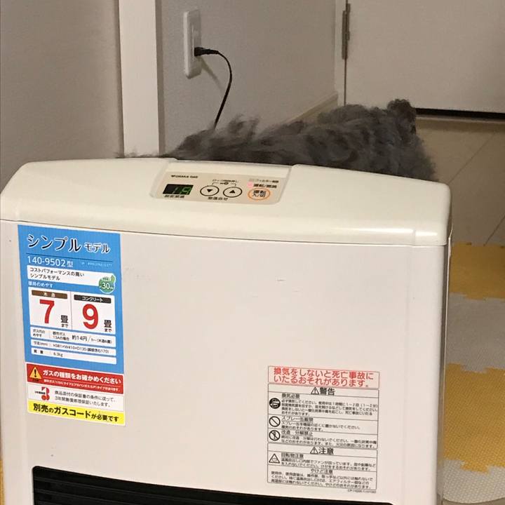 Fa649ba8 ebc0 4e99 a141 752ea1aef4e8 1512892615593