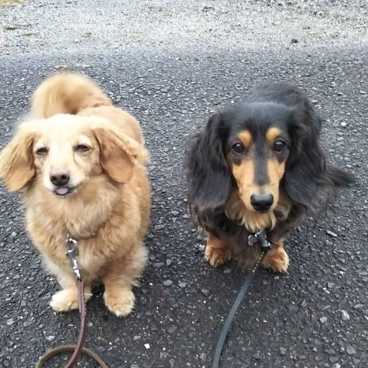 Fa64da53 9720 4362 a4fa 8e0d1a9074e0 1591362574807