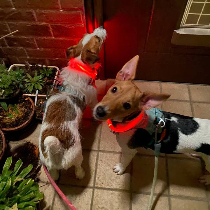 Fa64e631 2da2 40dd 93f4 ebd01a275911 1762780994889