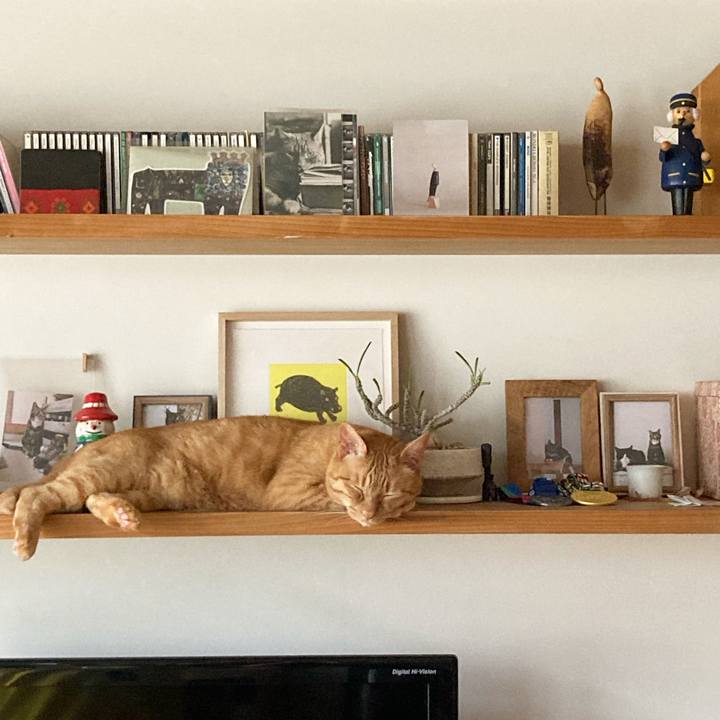 Fa65011d a2a1 4280 92d6 567b6793931c 1658845928518