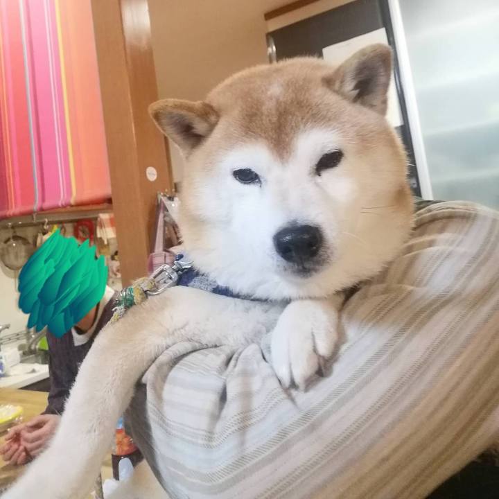 Fa650514 6faa 4e26 9f18 5da219a900b3 1673085330500