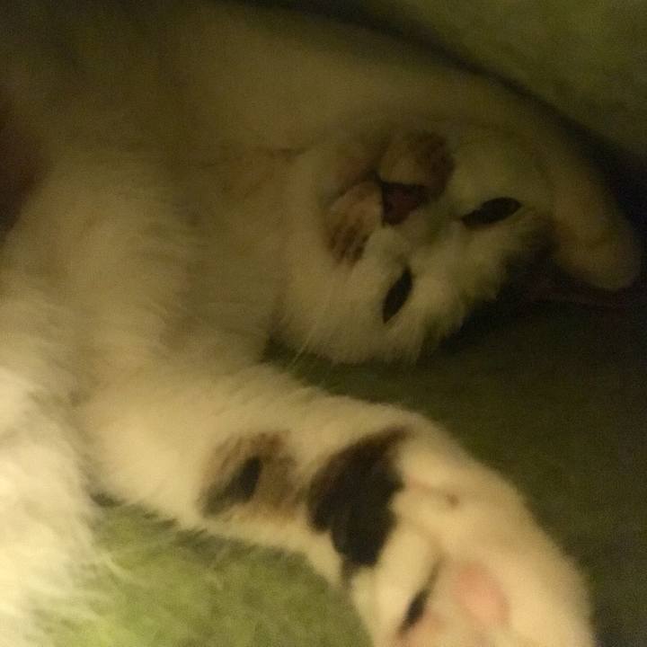 Fa650ec9 81b1 43b0 8f8e fd7ca974306b 1515501834430