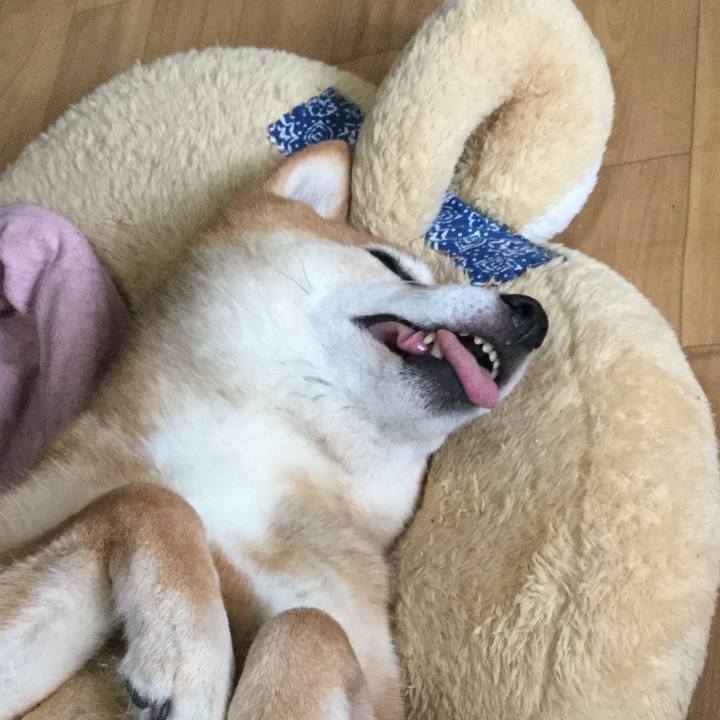 Fa653d77 b407 4b82 b8a2 e83e6ba77708 1590205179659