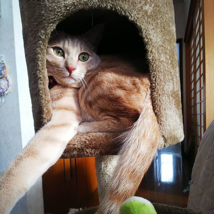 Fa655418 b2d7 45b5 9186 d625da2b4d1c 1578011942744