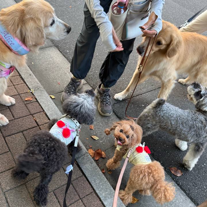 Fa655877 49eb 48df 8833 96ecfb92d8a9 1755733174745