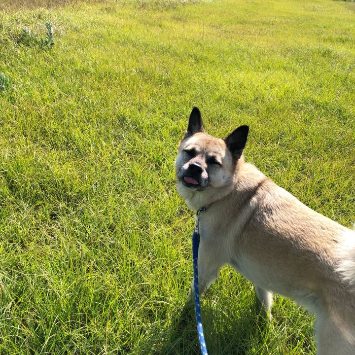 Fa659102 aaf6 4d39 9131 54c443544598 1604388432031