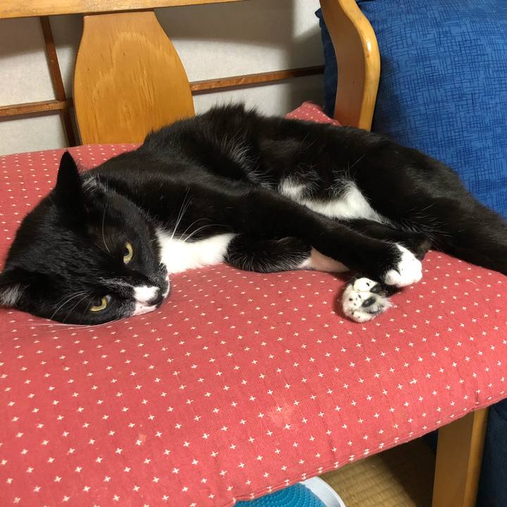 Fa65d702 13b7 43fc ae16 1cf1233a0e87 1634096650902