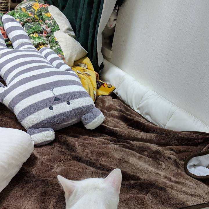 Fa65db67 53fb 48d4 8b21 9be41506b42a 1549377668651