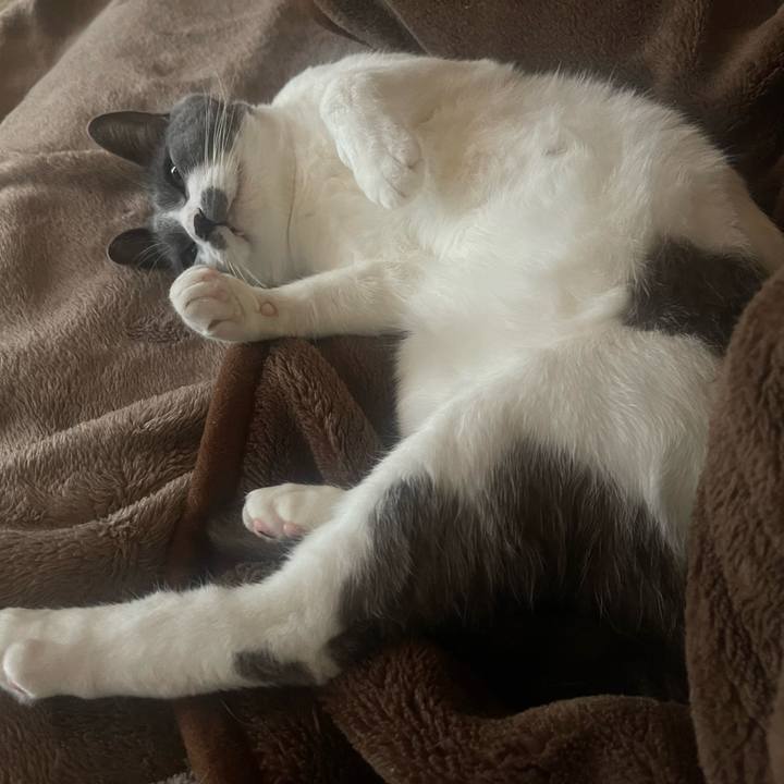 Fa65dc02 8b6d 40a2 a791 89ced01b1f73 1652496409712